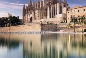 Majorque : Coves dels Hams et excursion à Porto Cristo