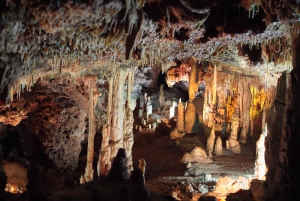 Majorque : Coves dels Hams et excursion à Porto Cristo