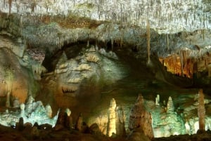 Mallorca: Caves of Hams Tour and Dinosaur Land Visit
