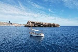 Mallorca: Eco charter experience