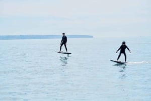 Majorque : Bateau électrique eFoil & Jetboard Aventure