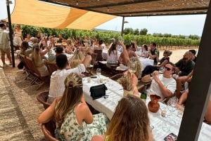 Mallorca: Exclusive wine tour with breakfast, wine tasting, and paella