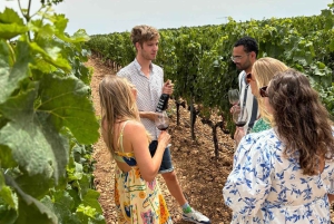 Mallorca: Exclusive wine tour with breakfast, wine tasting, and paella