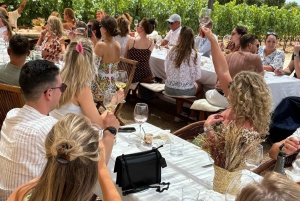 Maiorca: excursão exclusiva com pequeno-almoço, degustação de vinhos e paella