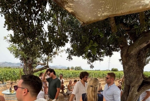 Maiorca: excursão exclusiva com pequeno-almoço, degustação de vinhos e paella