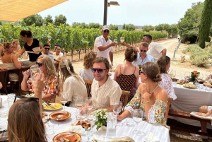 Maiorca: excursão exclusiva com pequeno-almoço, degustação de vinhos e paella