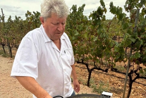 Maiorca: excursão exclusiva com pequeno-almoço, degustação de vinhos e paella