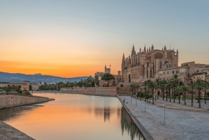 Mallorca: Fergebilletter mellom Barcelona og Mallorca