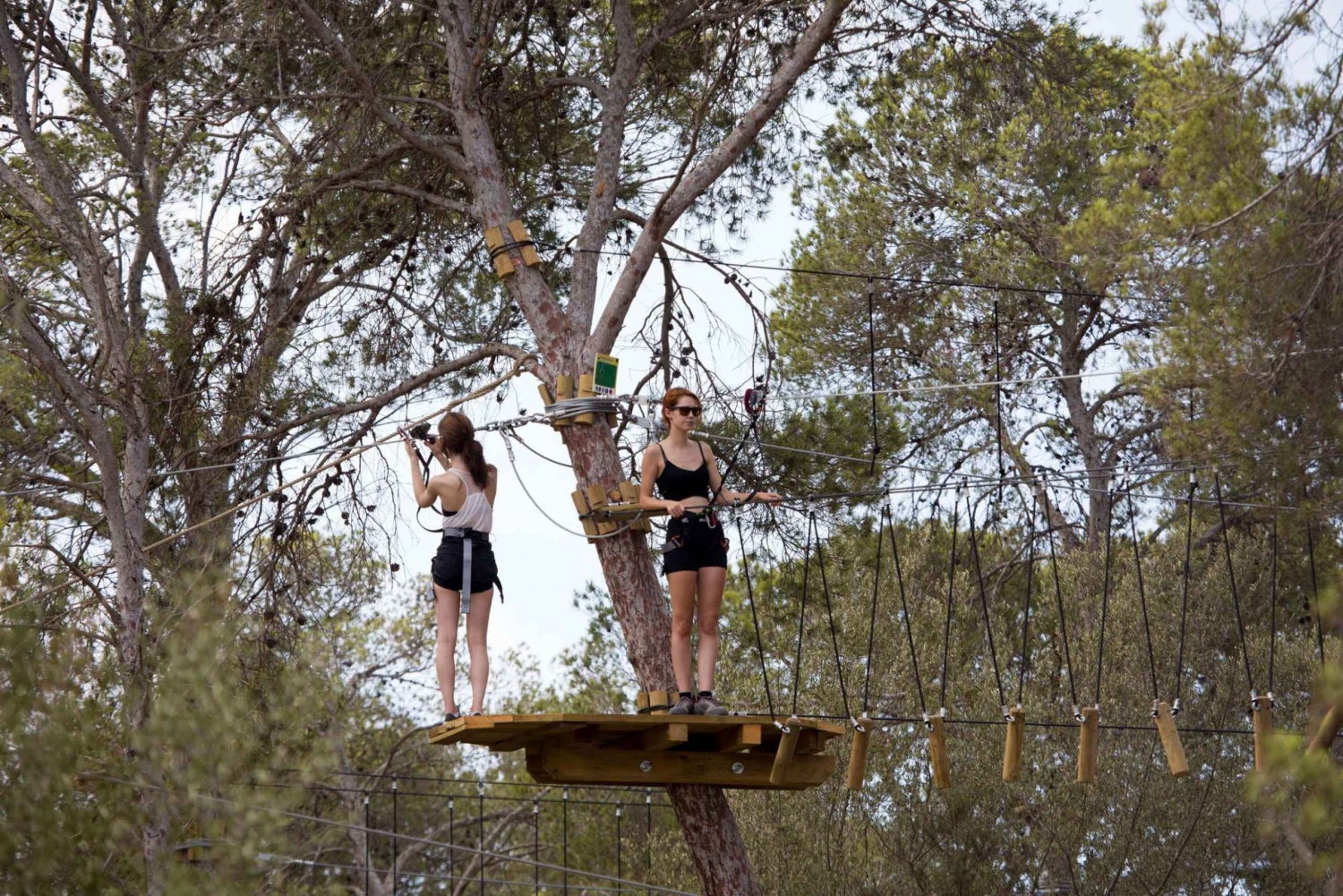 Palma: Family or Sports Course Adventure at Forestal Park
