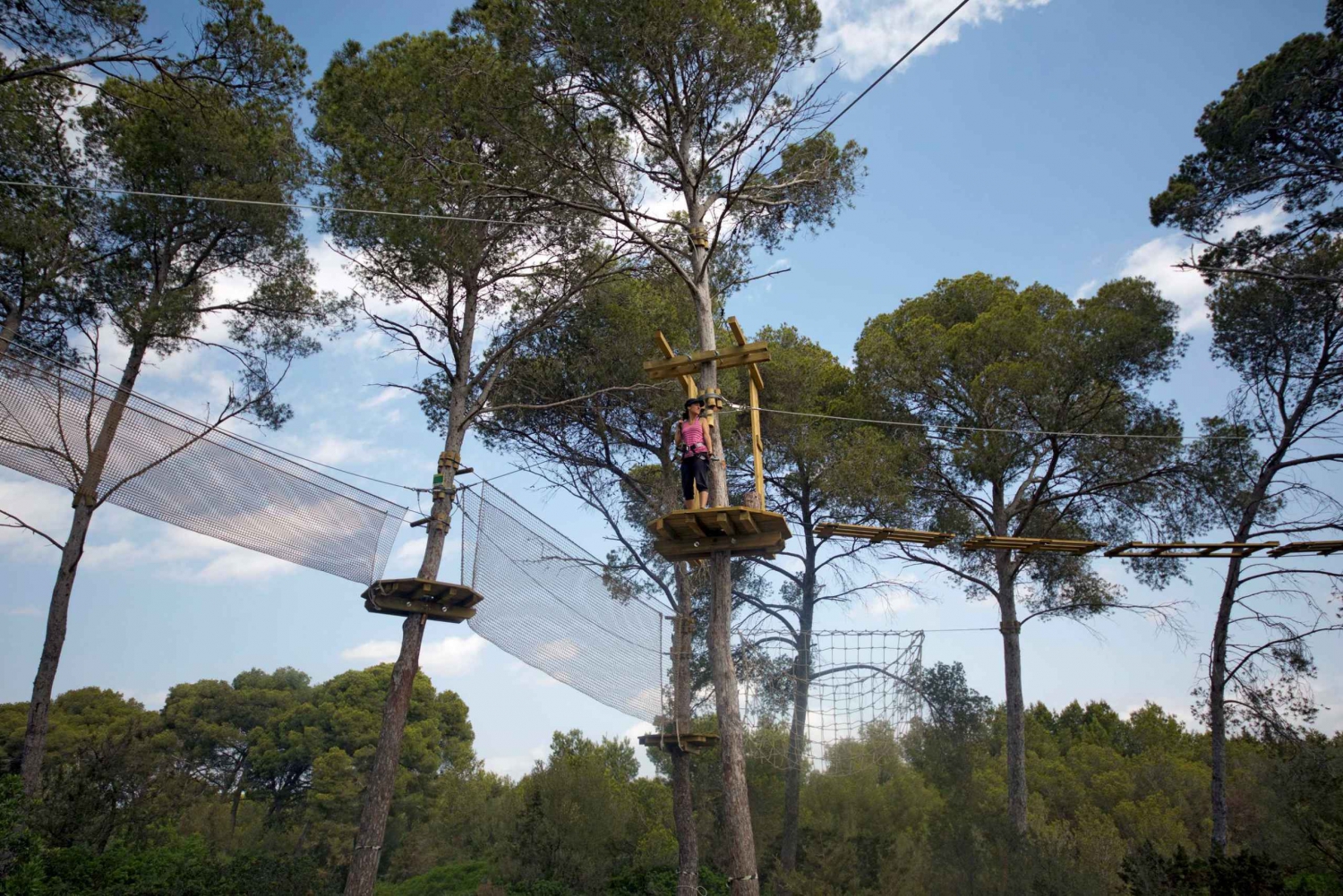 Mallorca: Forestal Park Family or Sport Course Adventure