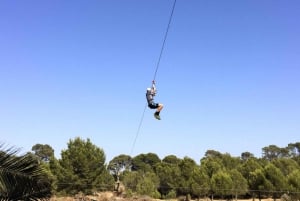 Palma: Family or Sports Course Adventure at Forestal Park