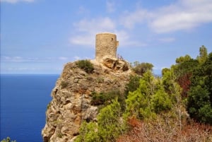 Mallorca: Formula Car Tour