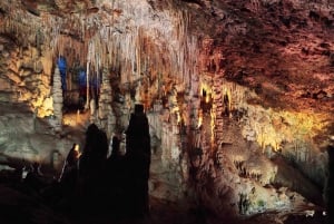 Mallorca: Drach and Hams Caves, and Porto Cristo Day Tour