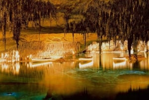 Mallorca: Drach and Hams Caves, and Porto Cristo Day Tour