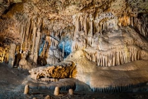 Mallorca: Drach and Hams Caves, and Porto Cristo Day Tour