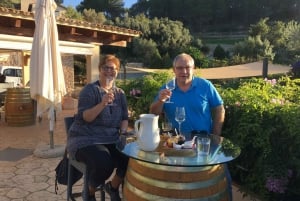 Mallorca: Koko päivän Winery Small Group Tour