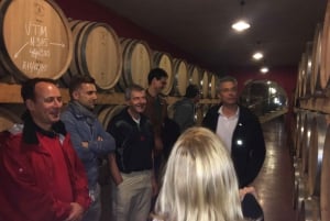 Majorque: visite d'une journée en petit groupe d'un vignoble