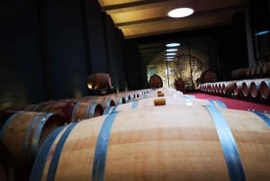 Mallorca: Hel dags utflykt i liten grupp till vingårdar