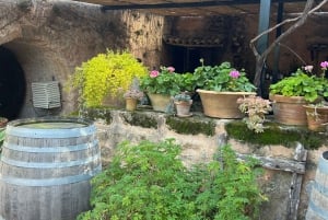Mallorca: Excursão de 1 dia às vinícolas com um sommelier