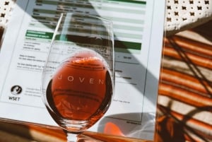 Maiorca: degustazione di vini gastronomici e prelibatezze locali