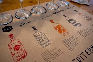 Mallorca Gin Tasting