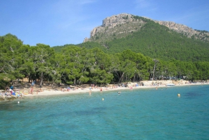 Alcudia: Glass Bottom Boat Trip to Formentor Beach