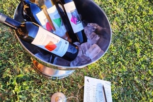 Majorque : dégustation de vin en pleine conscience et rituel sonore à l'heure dorée