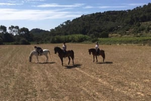 Mallorca: Randa Valleyn opastettu ratsastuskierros.