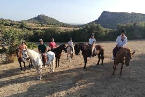 Mallorca: Guidet ridetur i Randa-dalen