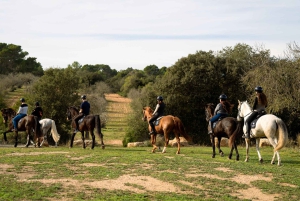 Mallorca: Guidet ridetur i Randa-dalen