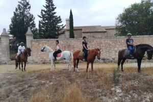 Mallorca: Guidet ridetur i Randa-dalen