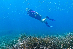 Mallorca: Snorkeltur med dykkertrener fra båt – Cap de Formentor