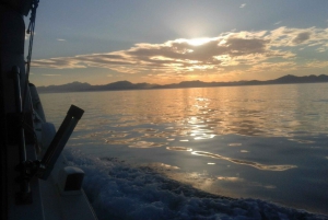 Can Picafort Half–Day Boat Excursion with Lunch