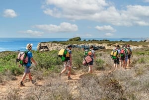 Cova des Coloms: Beleef een maritiem speleologieavontuur in Mallorca