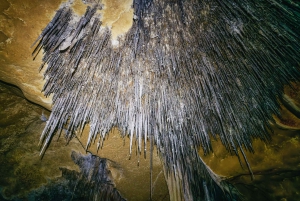 Mallorca: Half-Day Sea Caving Adventure