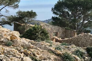 Vandring på Alcúdia-halvön