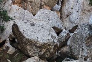 Mallorca: Vandra i hjärtat av Tramuntana, Torrente de Pareis