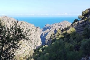 Mallorca: Vandra i hjärtat av Tramuntana, Torrente de Pareis