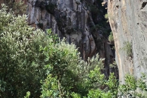 Mallorca: Fottur i hjertet av Tramuntana, Torrente de Pareis