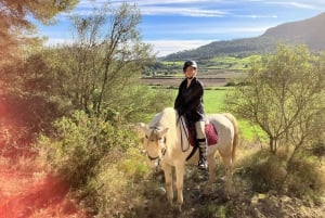 Mallorca: Historical Horse Ride Tour in Randa with Guide