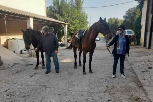 Mallorca: Historical Horse Ride Tour in Randa with Guide
