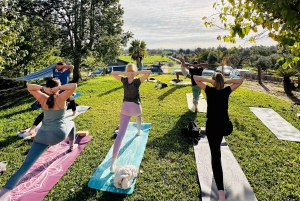 Mallorca: Holistic Private Yoga and Meditation Retreat