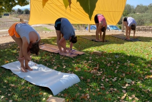 Mallorca: Holistic Private Yoga and Meditation Retreat