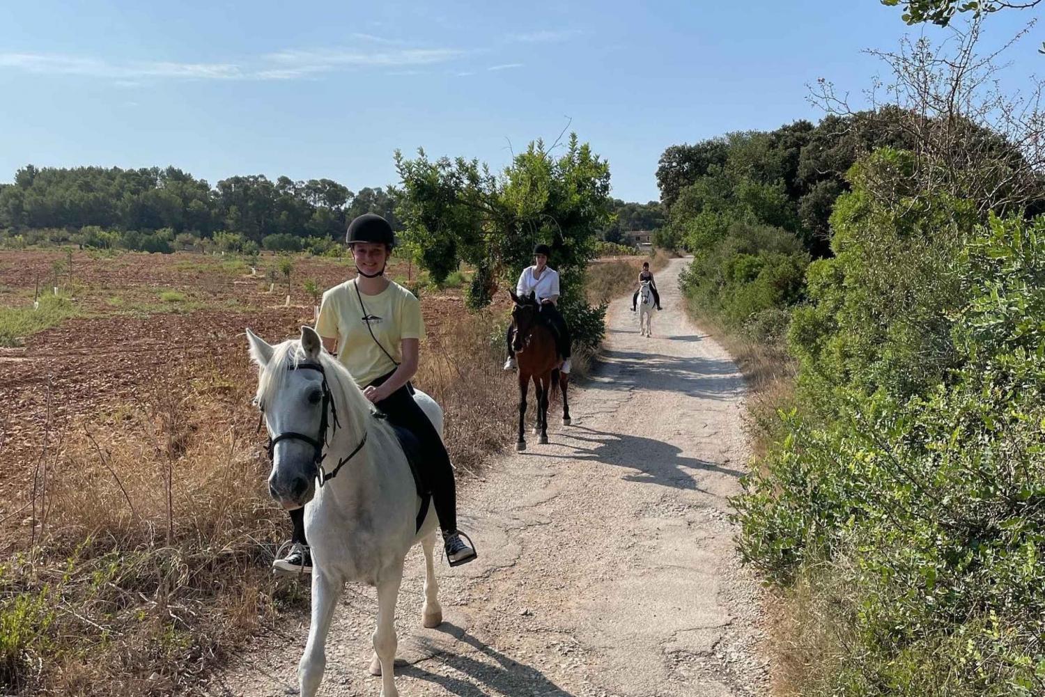 Mallorca: Horse Riding Tour Through Randa Valley