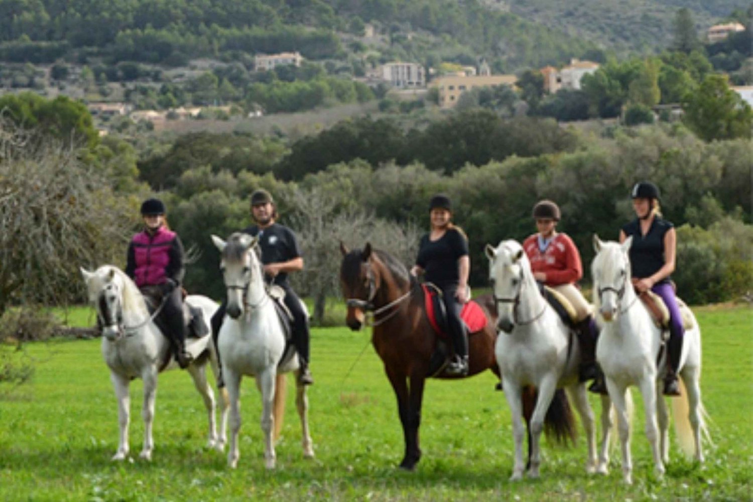Mallorca: Guidet ridetur i Randadalen med hest