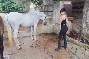 Mallorca: Horse Riding Tour Through Randa Valley
