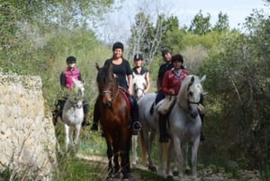 Mallorca: Excursión guiada a caballo por el Valle de Randa