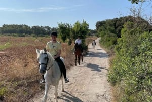 Mallorca: Randa Valleyn opastettu ratsastuskierros.