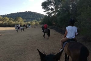 Mallorca: Tour guiado a cavalo no Vale de Randa