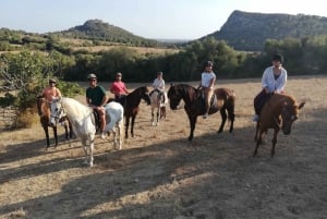 Mallorca: Guidad ridtur i Randa-dalen